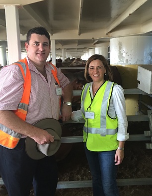 Shadow Ag Minister backs Live Cattle Export